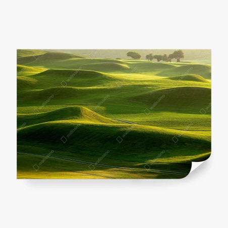 Papier peint vagues de collines verdoyantes – Wallnifity®