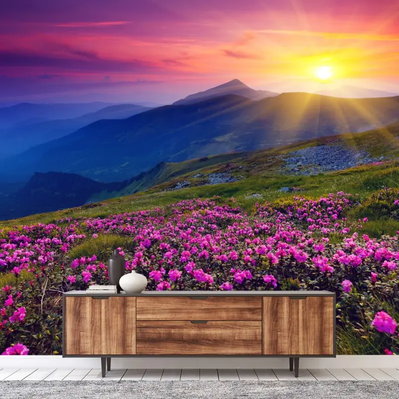 Salon – Wallnifity®