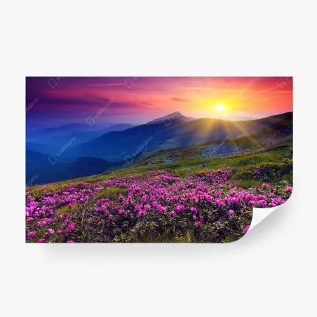 Papier peint prairie de rhododendrons au coucher du soleil – Wallnifity®