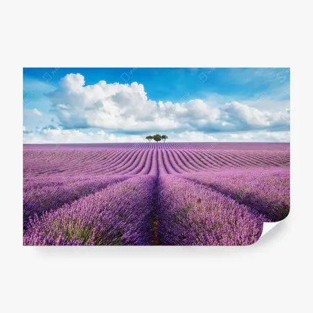 Papier peint horizon de lavande en Provence – Wallnifity®