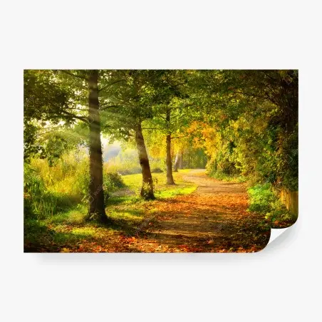 Papier peint sentier d'automne baigné de lumière dorée – Wallnifity®