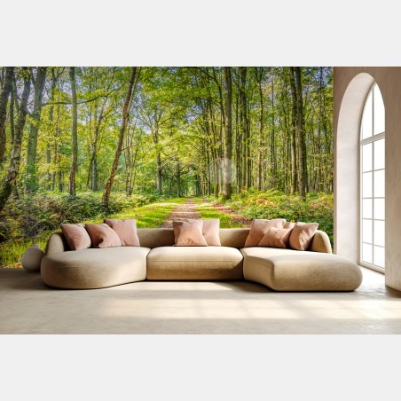 Papier peint sentier forestier baigné de lumière – Wallnifity®