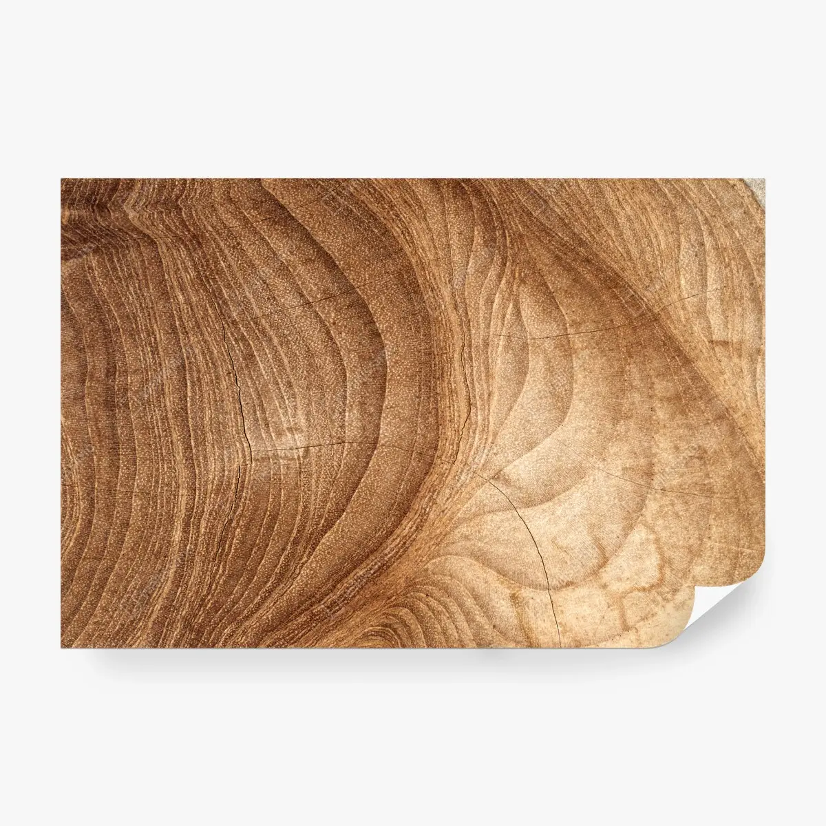 Papier peint motifs organiques du bois – Wallnifity®