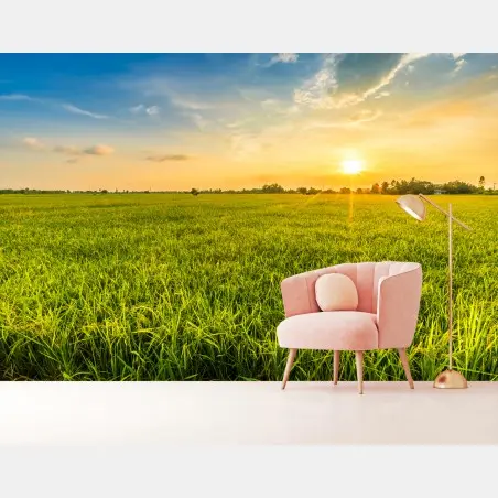 Papier peint paysage de rizière au coucher du soleil – Wallnifity®
