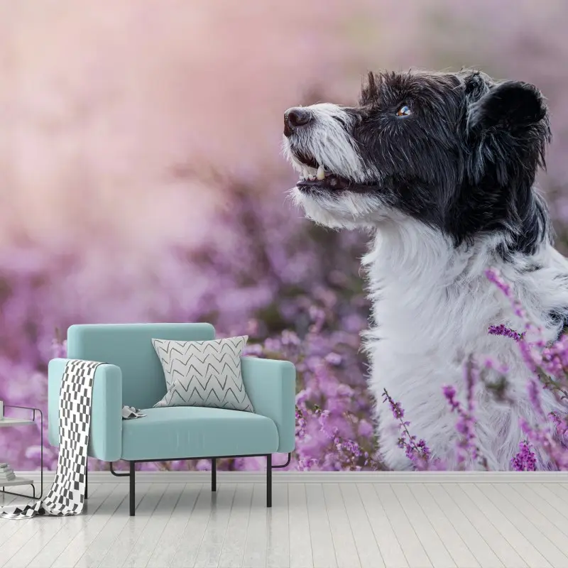 Animaux domestiques – Wallnifity®