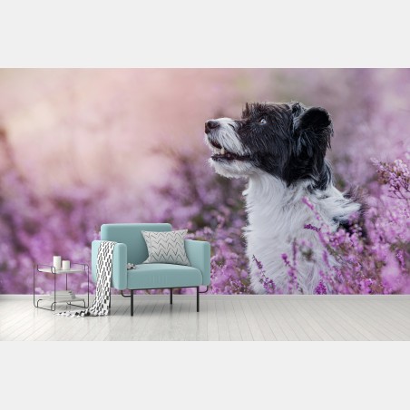 Papier peint chien dans la bruyère au crépuscule – Wallnifity®