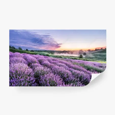 Papier peint champ de lavande au lever du jour – Wallnifity®