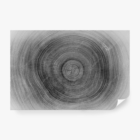 Papier peint empreinte de cernes d'arbre en noir et blanc – Wallnifity®