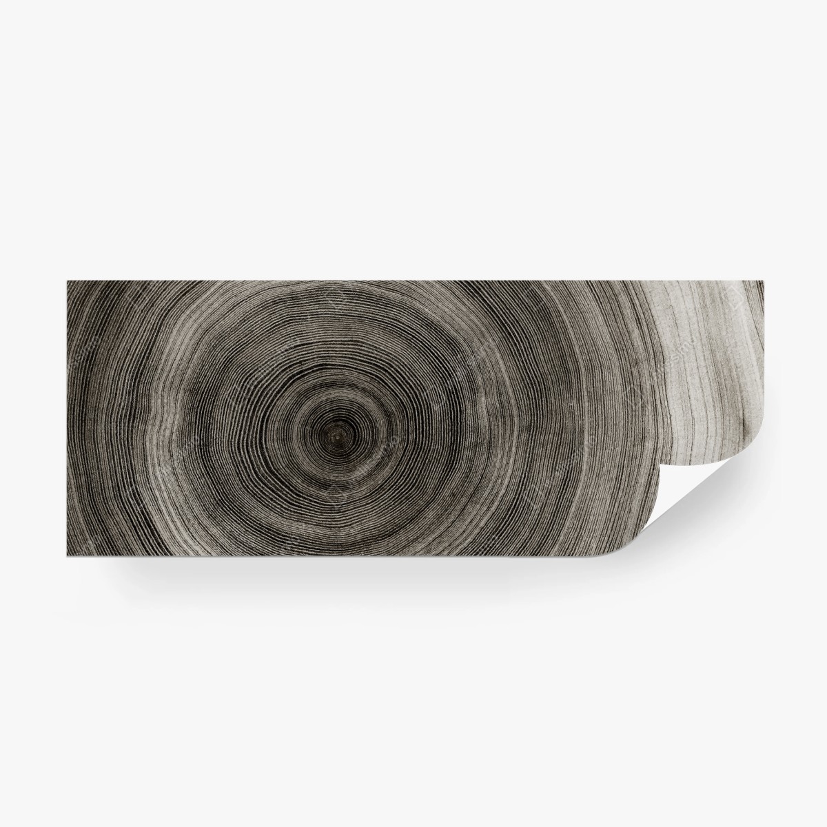 Papier peint motif anneaux de croissance d'arbre – Wallnifity®