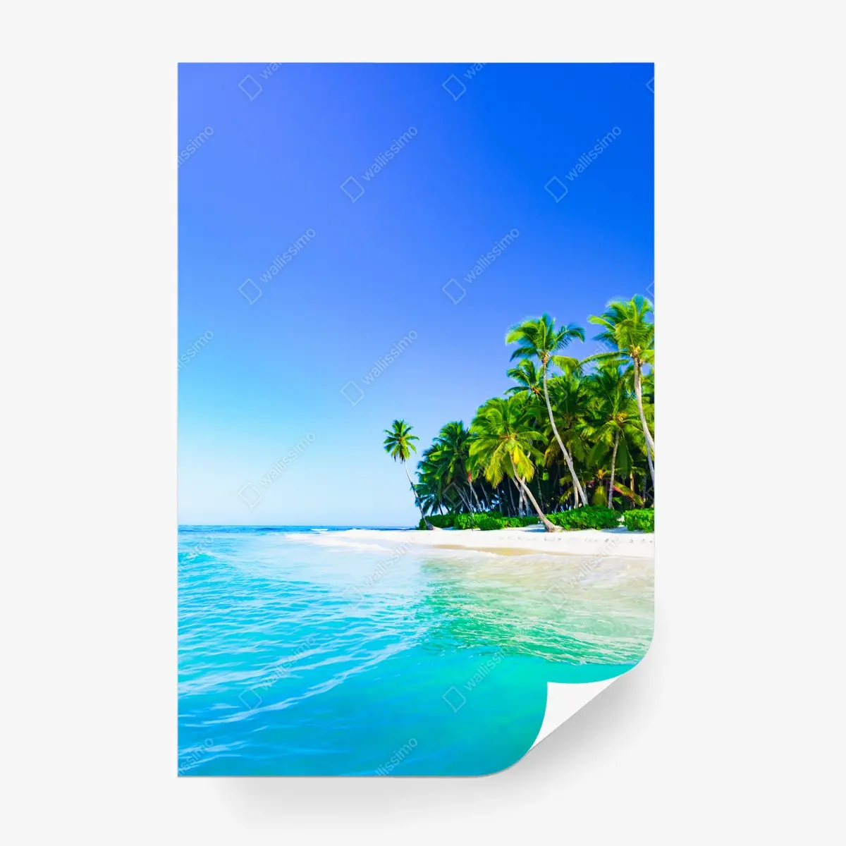 Papier peint paradis de cocotiers à Saona – Wallnifity®