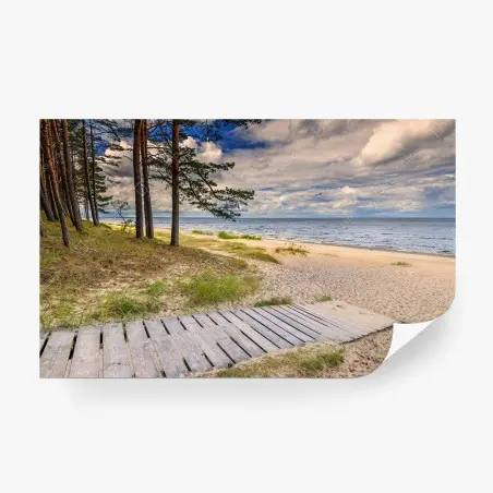 Papier peint paysage côtier paisible avec pins et passerelle – Wallnifity®