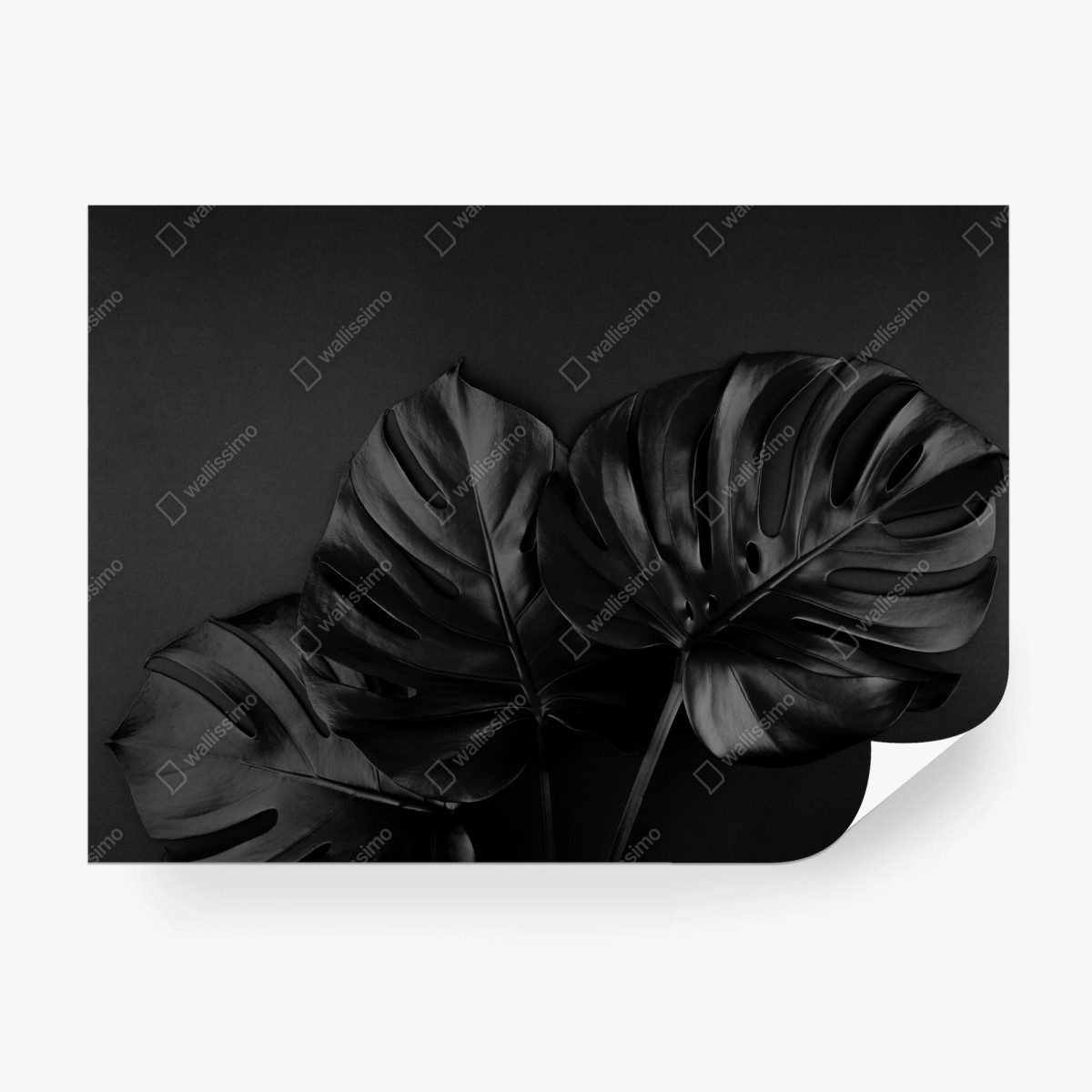 Papier peint élégance botanique monstera noir – Wallnifity®