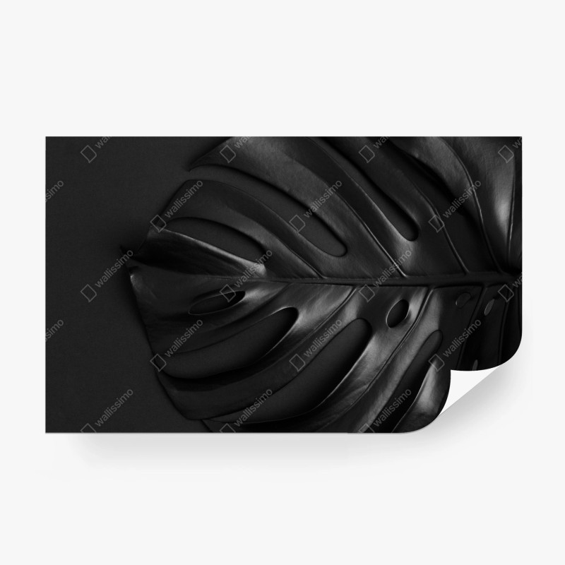 Papier peint monstera noire — élégance botanique minimaliste – Wallnifity® Papier peint monstera noire — élégance botanique minimaliste – Wallnifity®