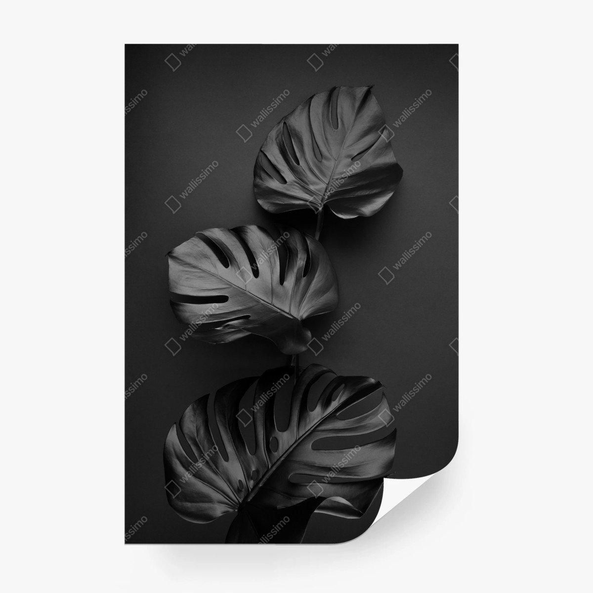 Papier peint élégance botanique noire – Wallnifity®