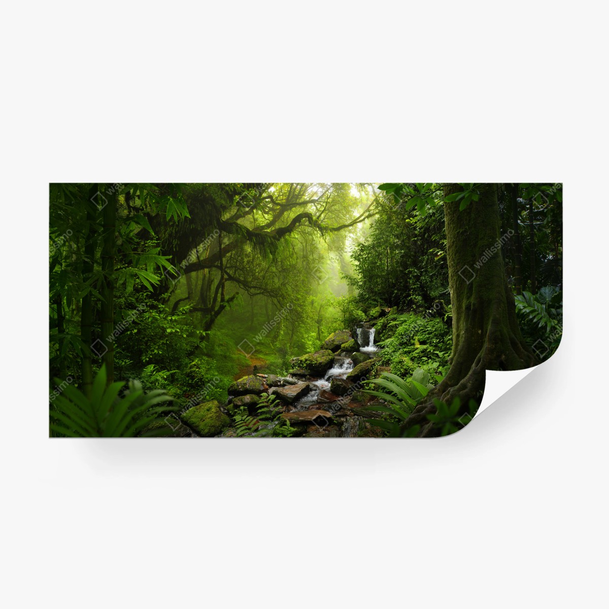 Papier peint forêt verdoyante au ruisseau serein – Wallnifity®