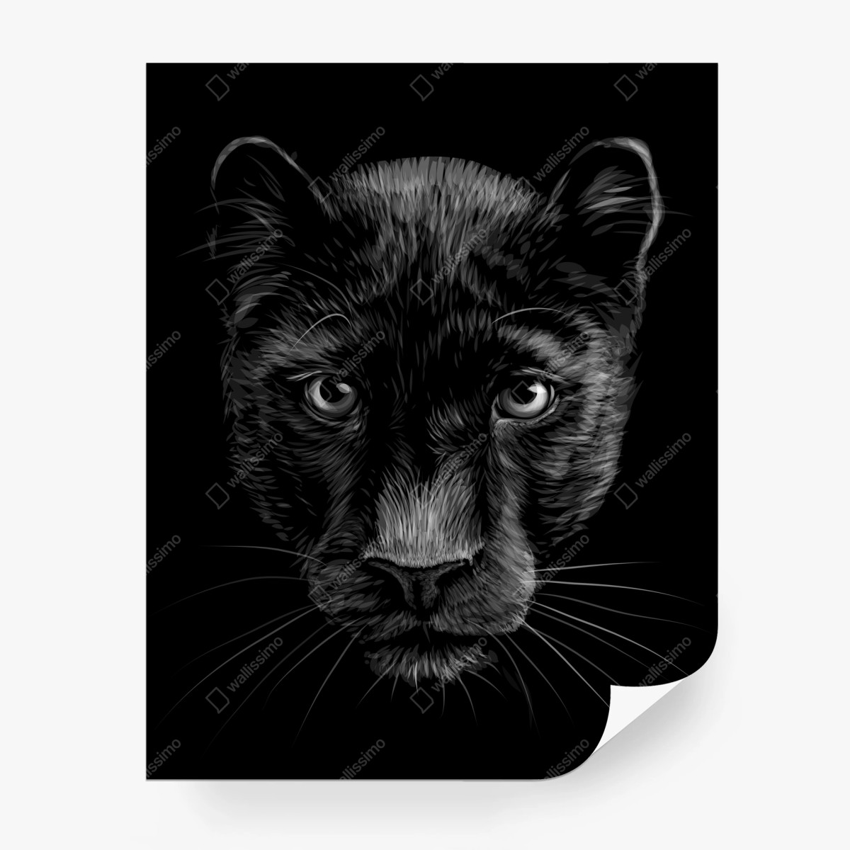 Papier peint portrait saisissant de panthère noire – Wallnifity®