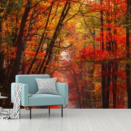 Papier peint chemin forestier automnal en lumière dorée – Wallnifity®