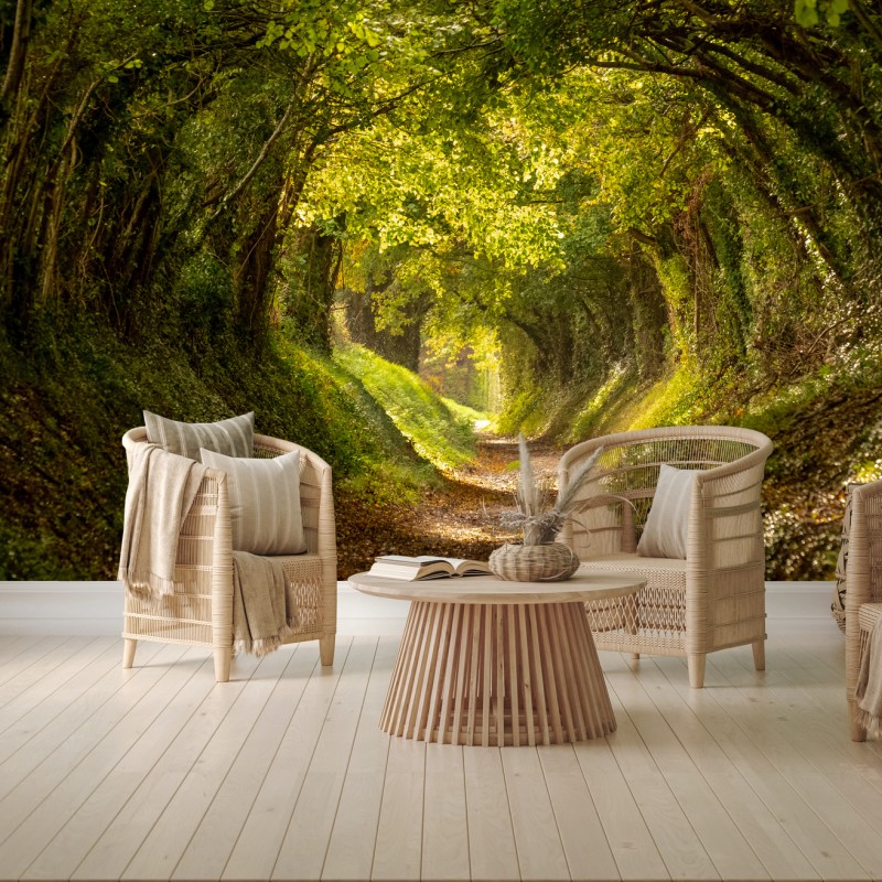 Papier peint allée forestière lumineuse en tunnel de verdure – Wallnifity®