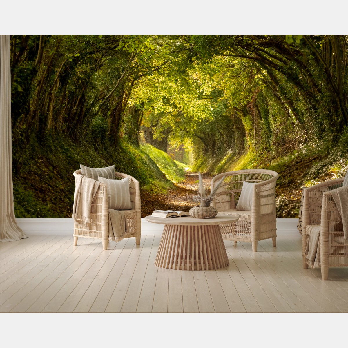 Papier peint allée forestière lumineuse en tunnel de verdure – Wallnifity®