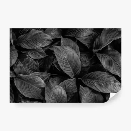 Papier peint motif feuilles tropicales monochrome et texturé – Wallnifity®