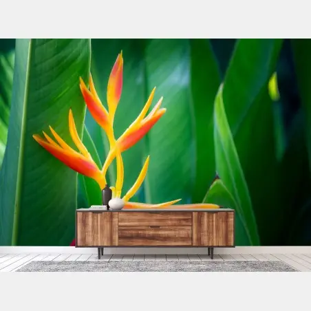 Papier peint fleur d'oiseau de paradis sur feuillage tropical – Wallnifity®