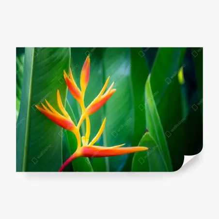 Papier peint fleur d'oiseau de paradis sur feuillage tropical – Wallnifity®