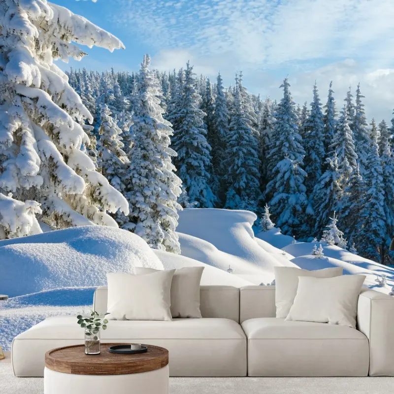 Salon – Wallnifity®