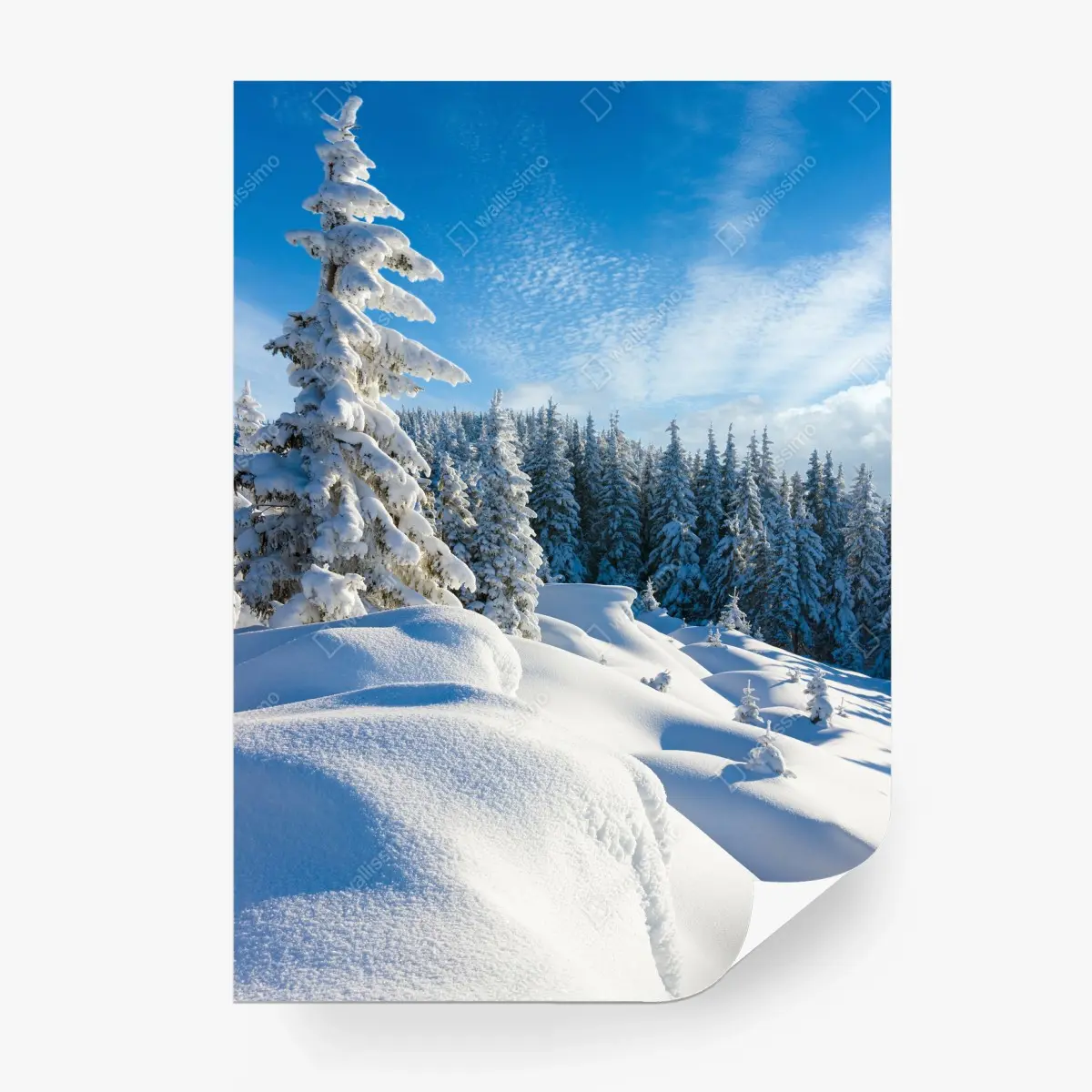 Papier peint paysage hivernal serein des Carpates – Wallnifity®