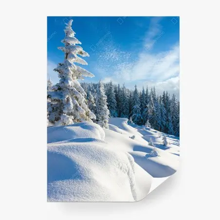 Papier peint paysage hivernal serein des Carpates – Wallnifity®