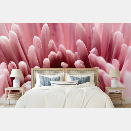 Papier peint cœur de fleur rose en macro – Wallnifity®