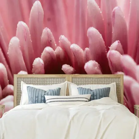 Papier peint cœur de fleur rose en macro – Wallnifity®