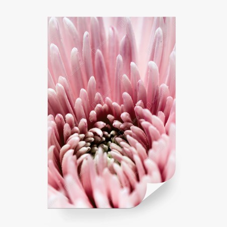 Papier peint cœur de fleur rose en macro – Wallnifity®