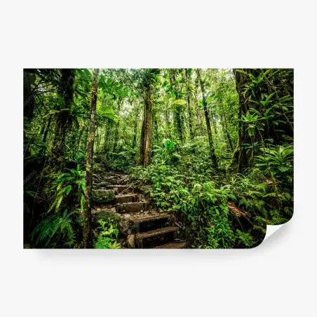 Papier peint sentier tropical de Basse-Terre – Wallnifity®