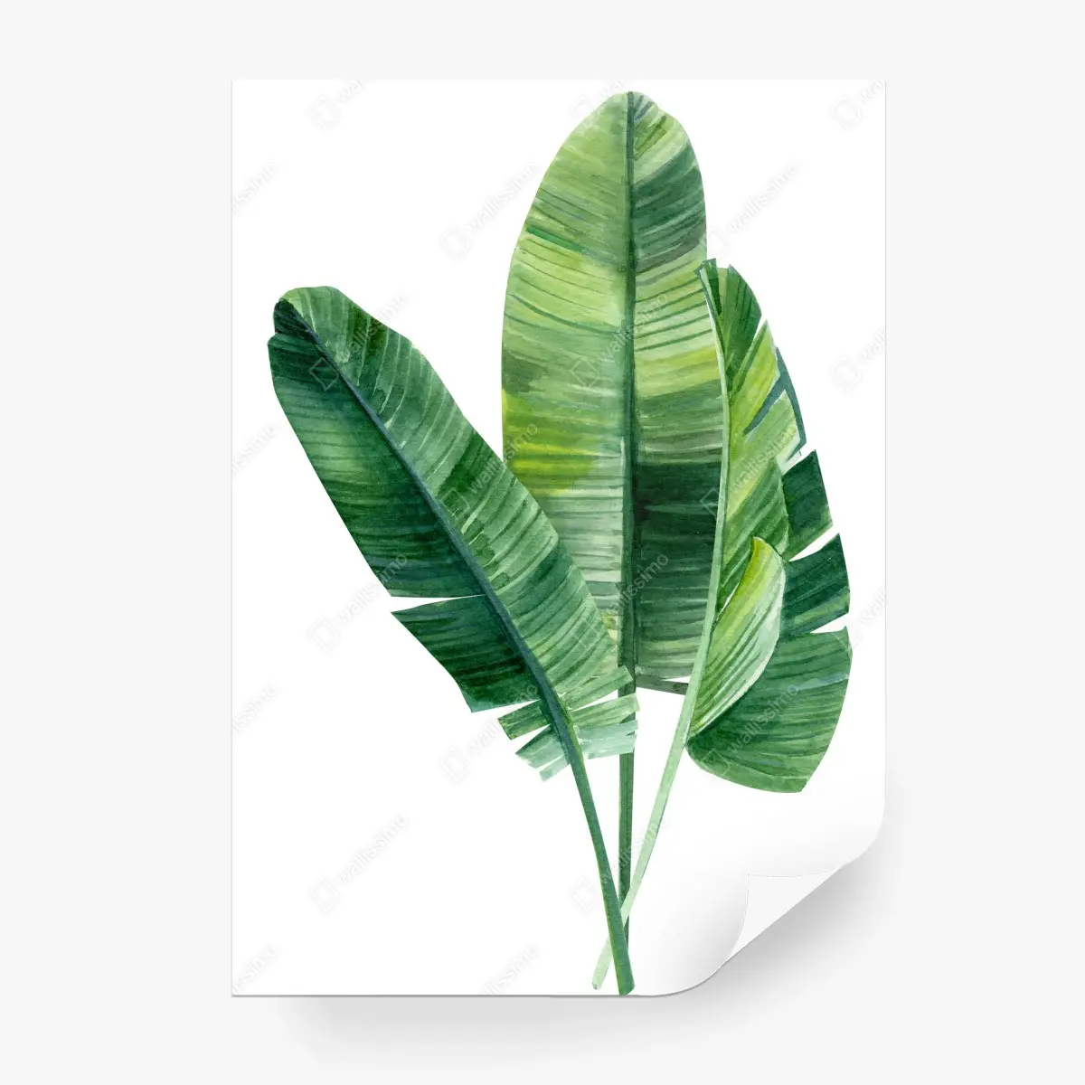 Papier peint feuillage tropical aquarelle pour décoration murale – Wallnifity®