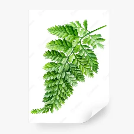 Papier peint fougère aquarelle élégante pour décoration murale – Wallnifity®