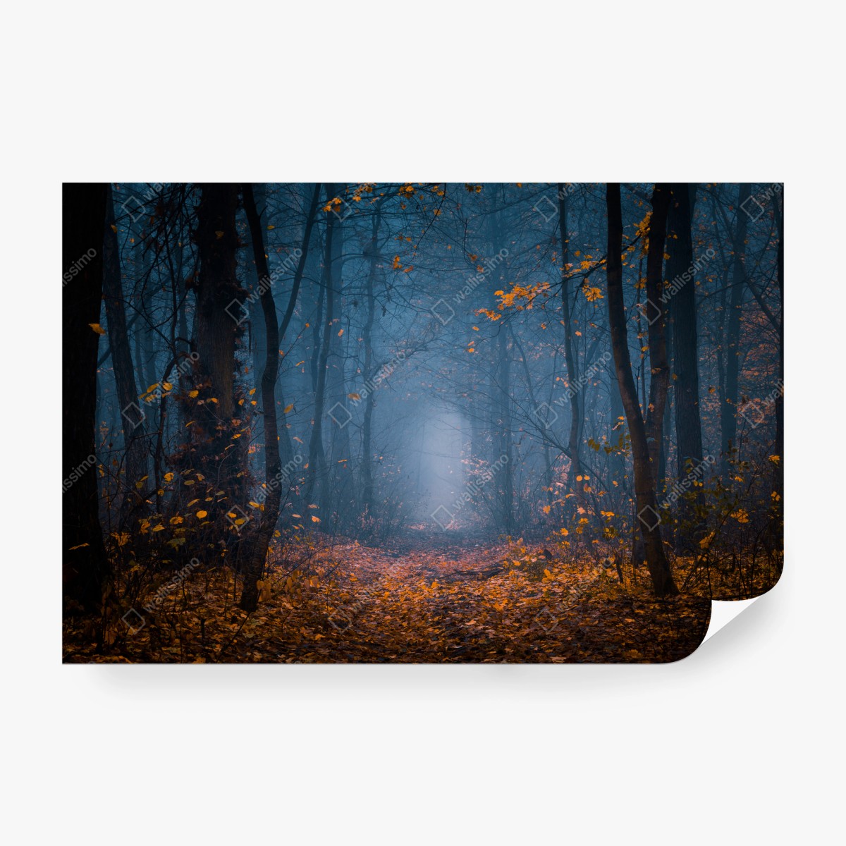 Papier peint chemin brumeux en forêt d'automne – Wallnifity®