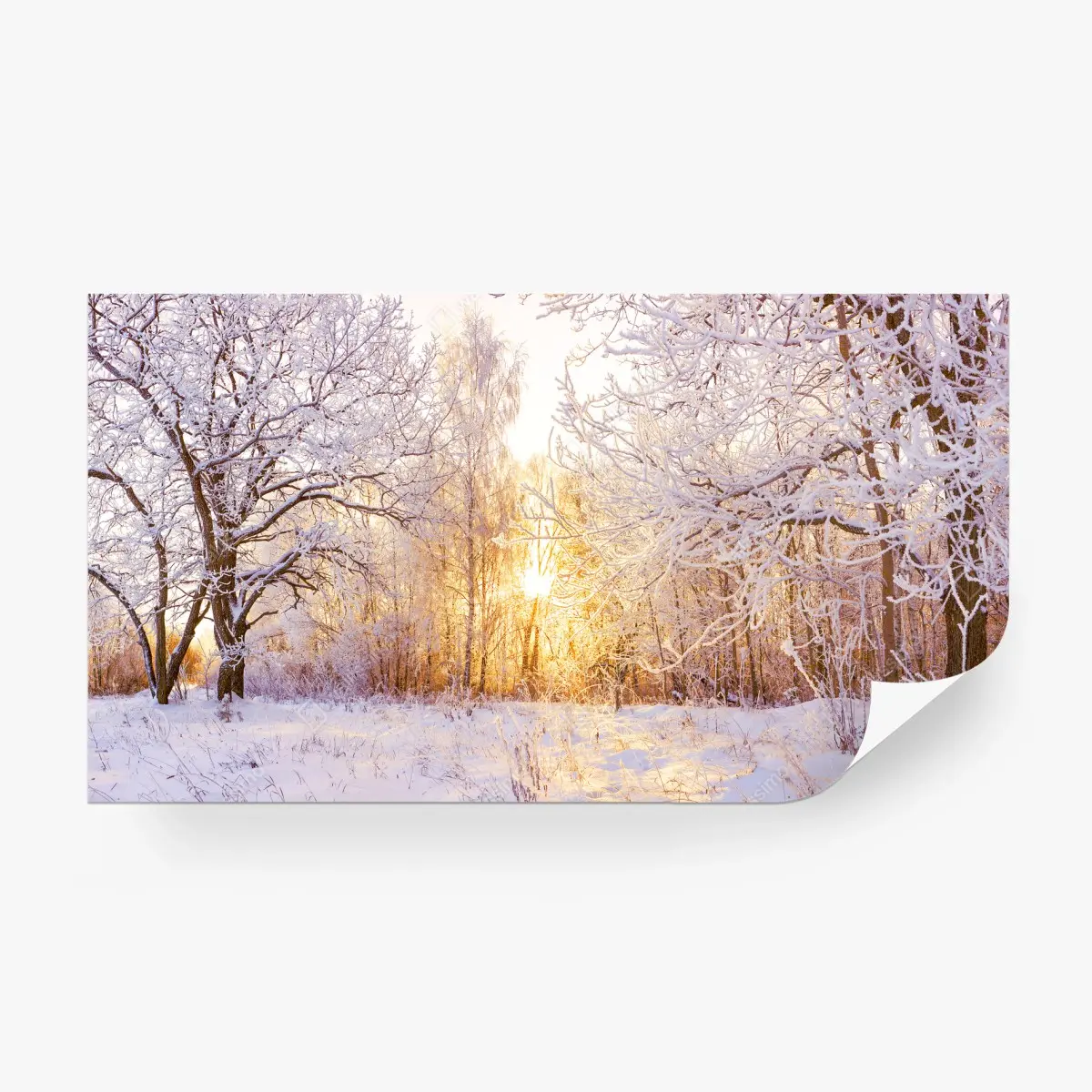 Papier peint panorama hivernal en forêt au coucher du soleil – Wallnifity®