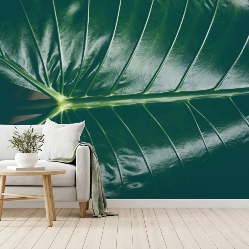 Papier peint élégance tropicale : feuille d'alocasia – Wallnifity®