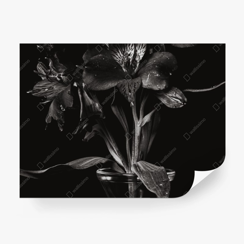 Papier peint bouquet en clair-obscur – Wallnifity®