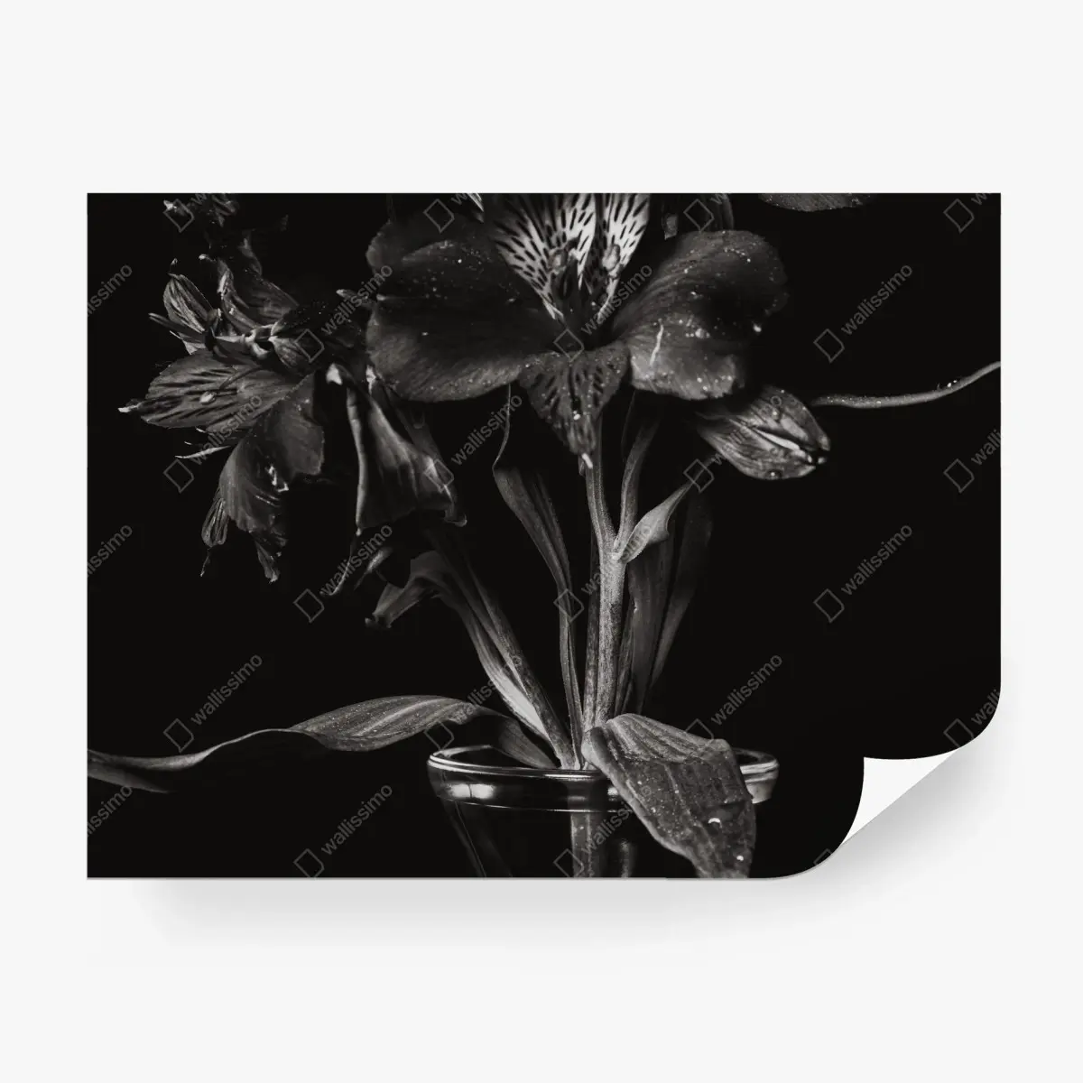 Papier peint bouquet en clair-obscur – Wallnifity®