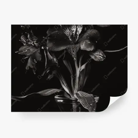 Papier peint bouquet en clair-obscur – Wallnifity®