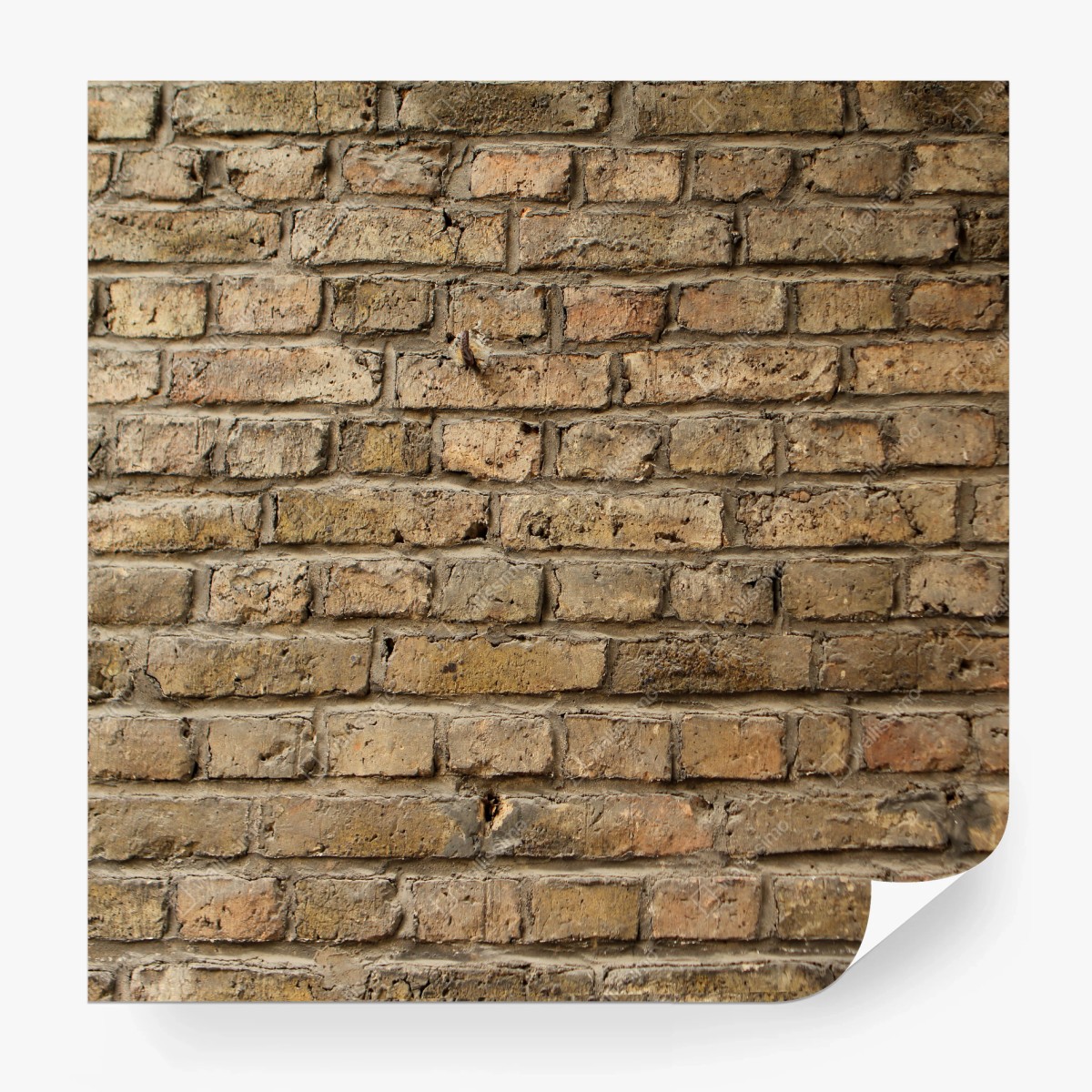 Papier peint texture de mur en brique ancienne effet rustique – Wallnifity® Papier peint texture de mur en brique ancienne effet rustique – Wallnifity®