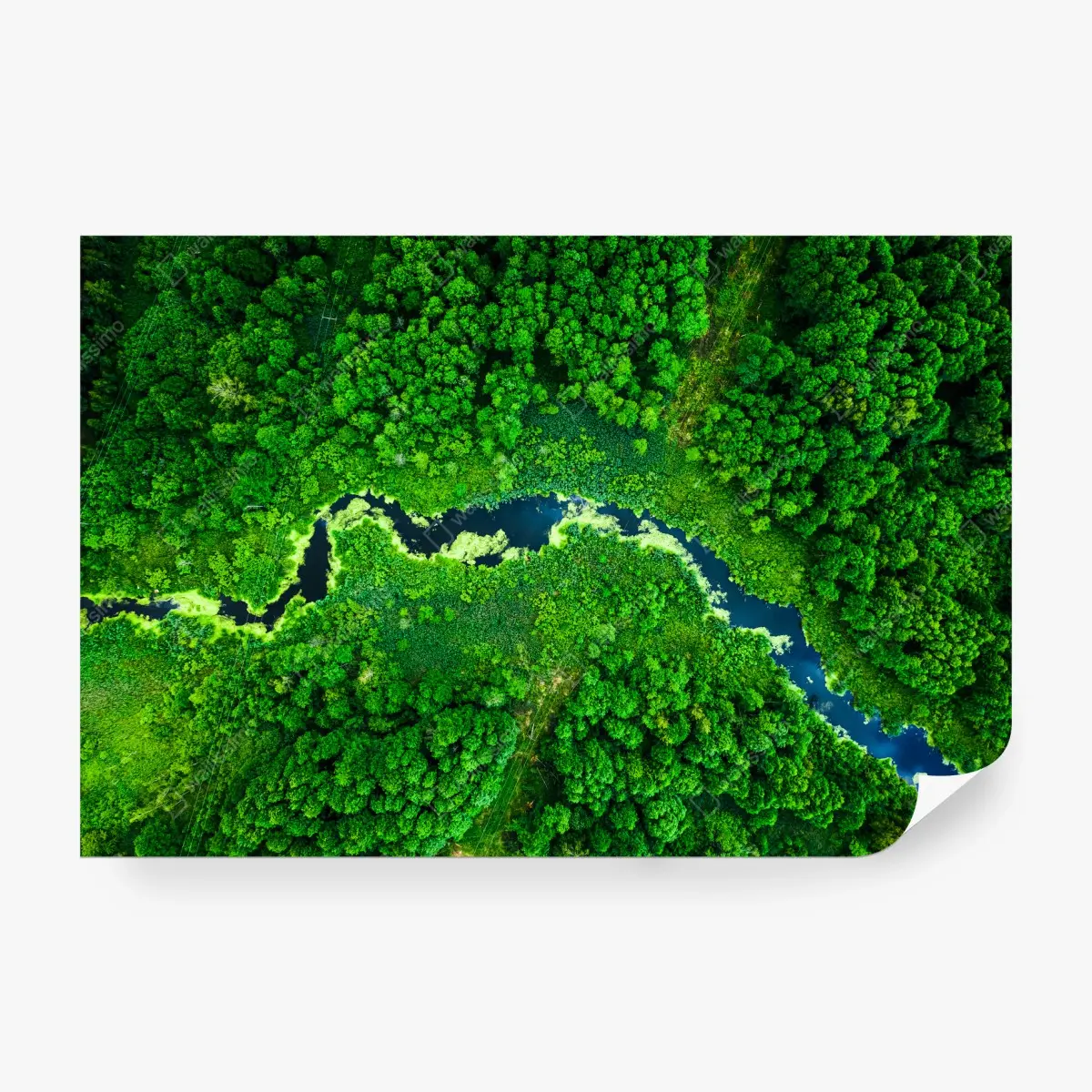 Papier peint rivière sinueuse au cœur d'une forêt verdoyante – Wallnifity®