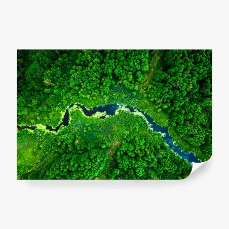 Papier peint rivière sinueuse au cœur d'une forêt verdoyante – Wallnifity®
