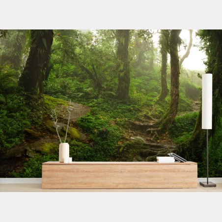 Papier peint forêt brumeuse et sentier verdoyant – Wallnifity®