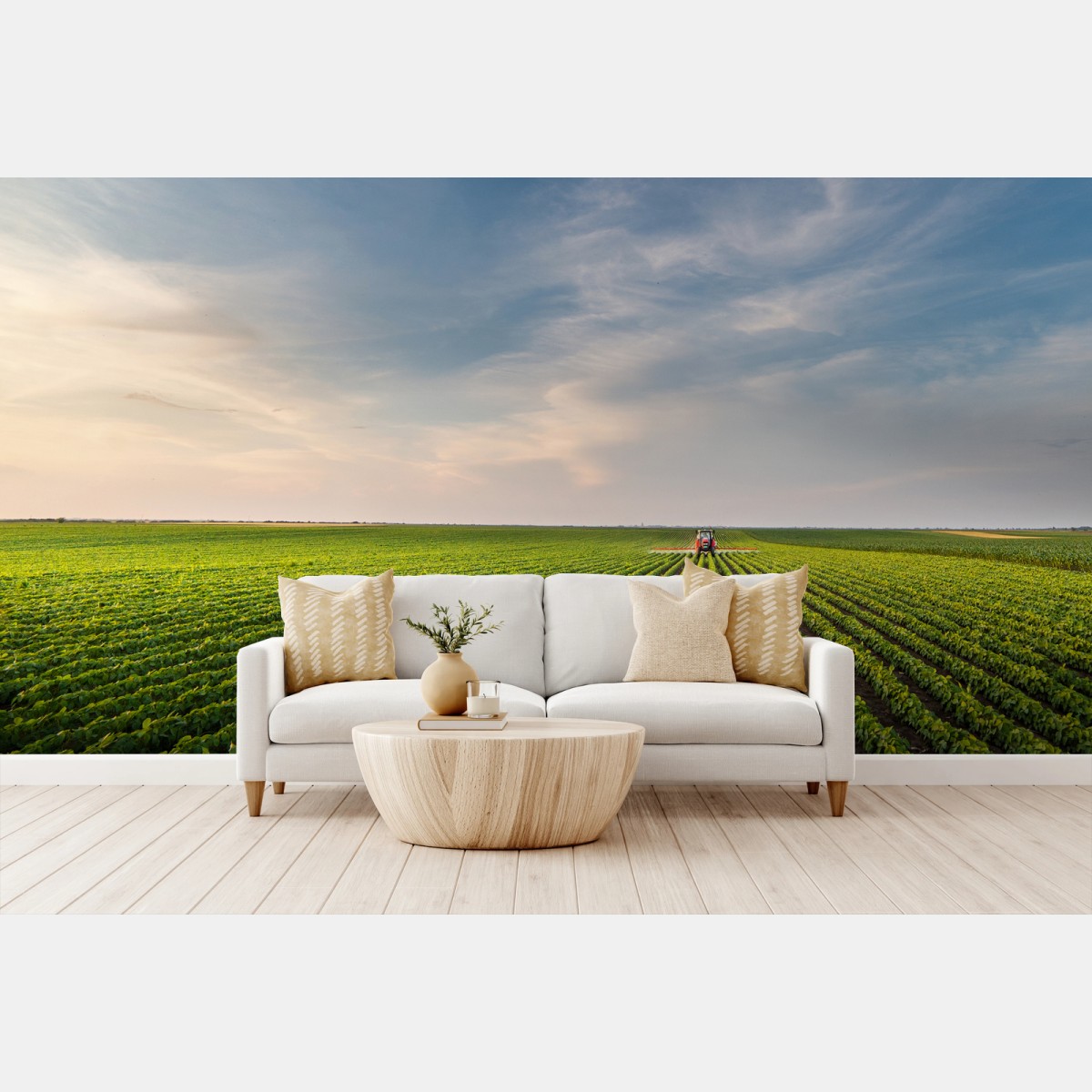 Papier peint coucher de soleil sur champs de soja – Wallnifity® Papier peint coucher de soleil sur champs de soja – Wallnifity®