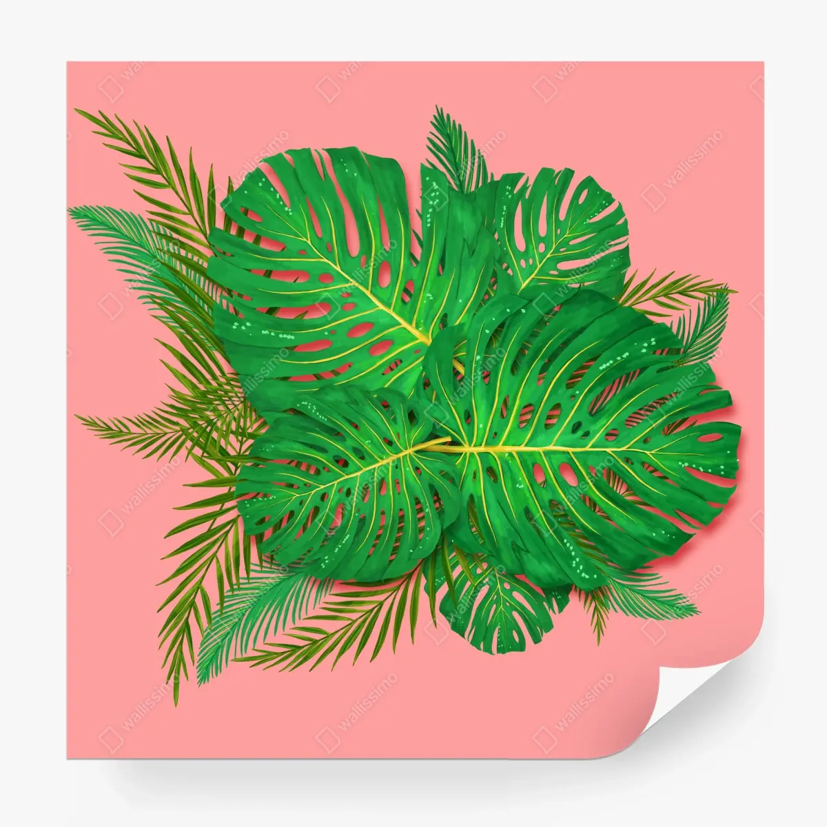 Papier peint feuillage tropical sur fond rose – Wallnifity®