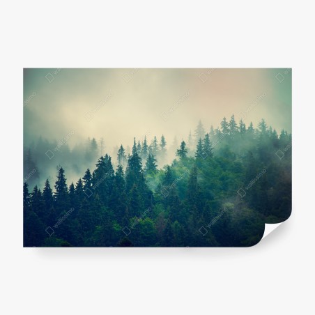 Papier peint forêt brumeuse et pins majestueux – Wallnifity®
