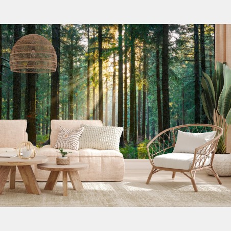 Papier peint rayons de soleil dans la forêt au réveil – Wallnifity®