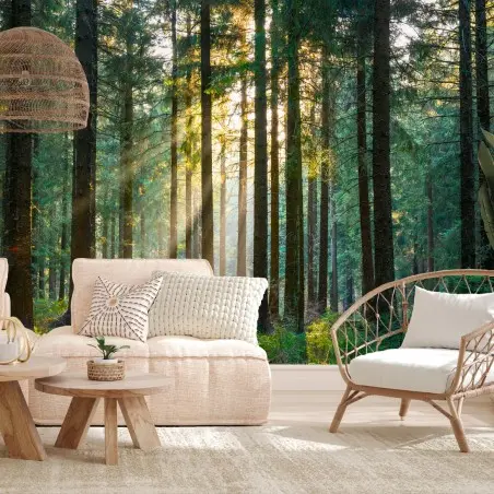 Papier peint rayons de soleil dans la forêt au réveil – Wallnifity®